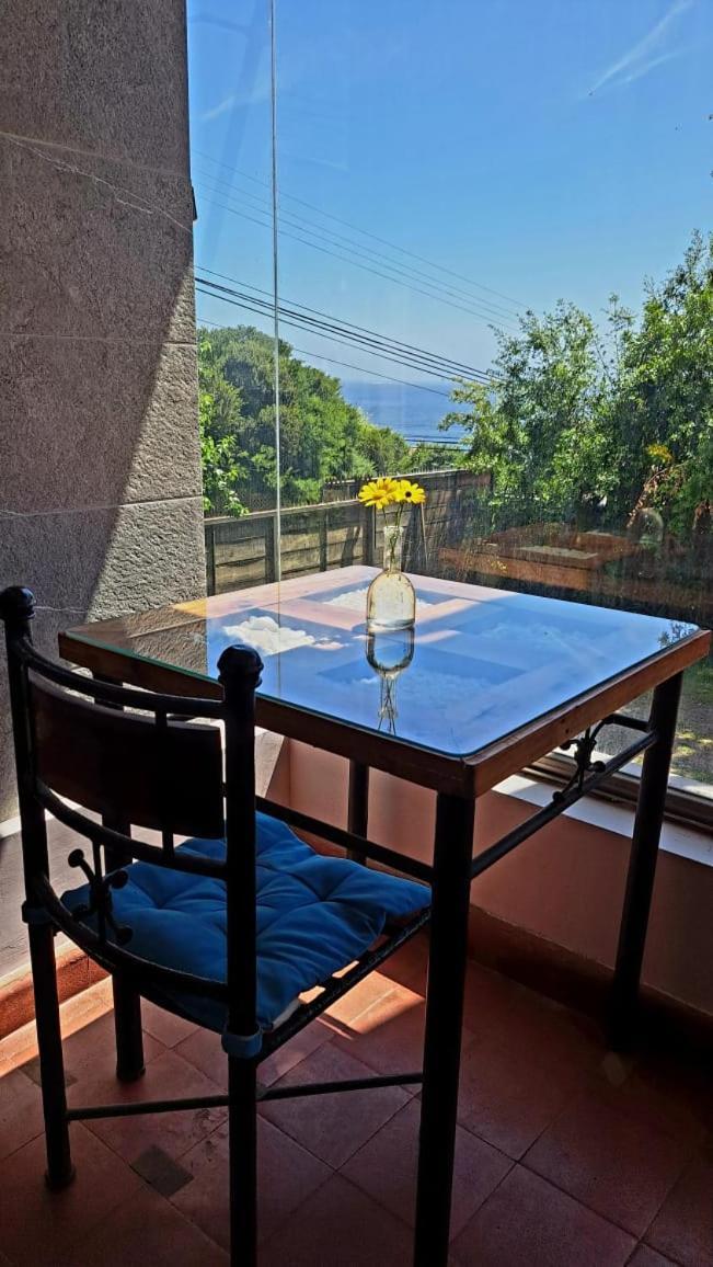 Yemanya Hostal كونكون المظهر الخارجي الصورة